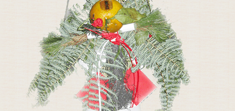 2016年 新年のご挨拶